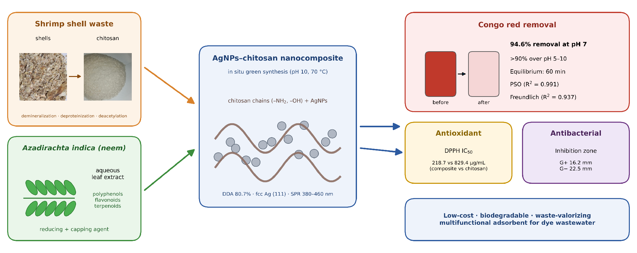 Research infographic showing shrimp-shell chitosan, neem-mediated silver nanoparticle synthesis, Congo red removal, antioxidant activity, and antibacterial activity.