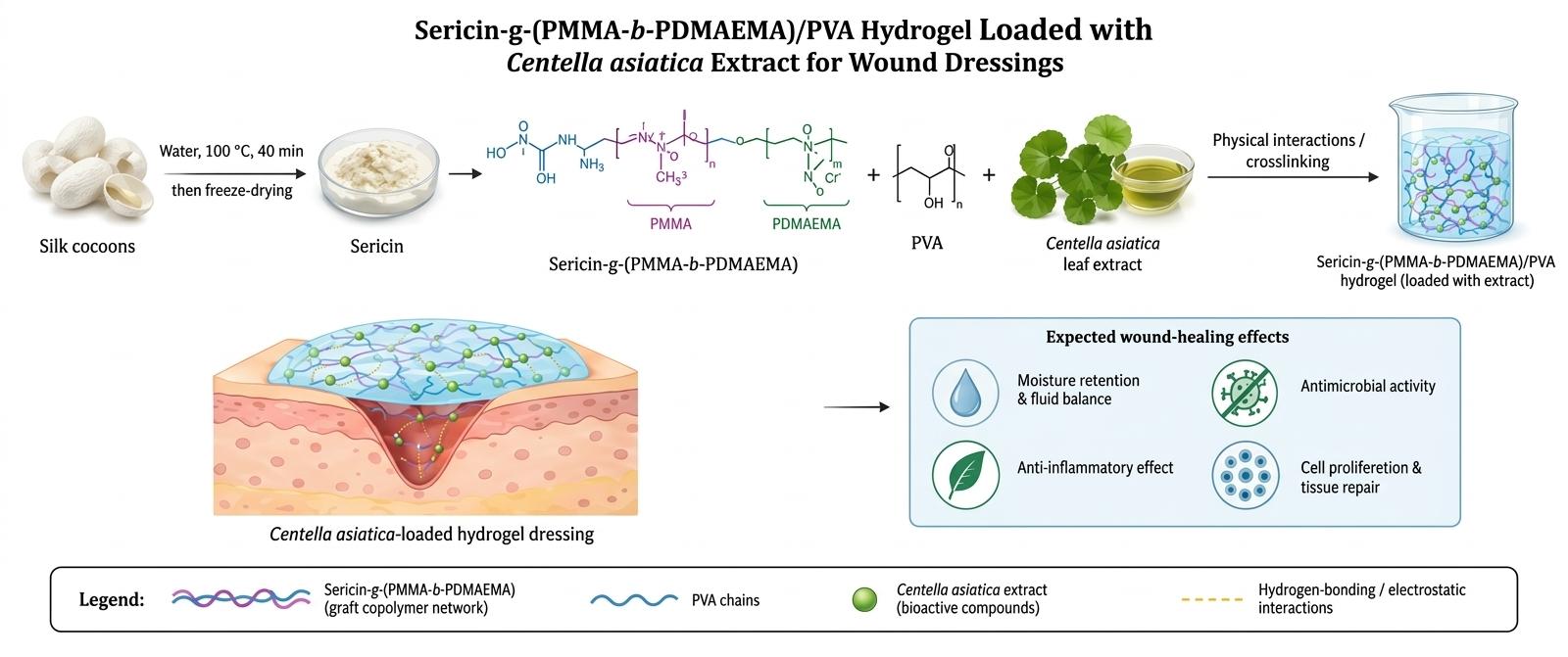 Research schematic showing sericin extraction, ATRP graft-block copolymer formation, PVA and Centella asiatica extract incorporation, and expected wound-healing effects.